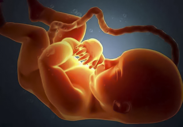  胎儿打嗝是什么原因呢？孕妈妈知道胎儿打嗝是什么感受么？