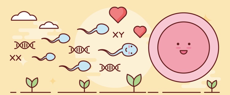 同房后多久可以测出怀孕？